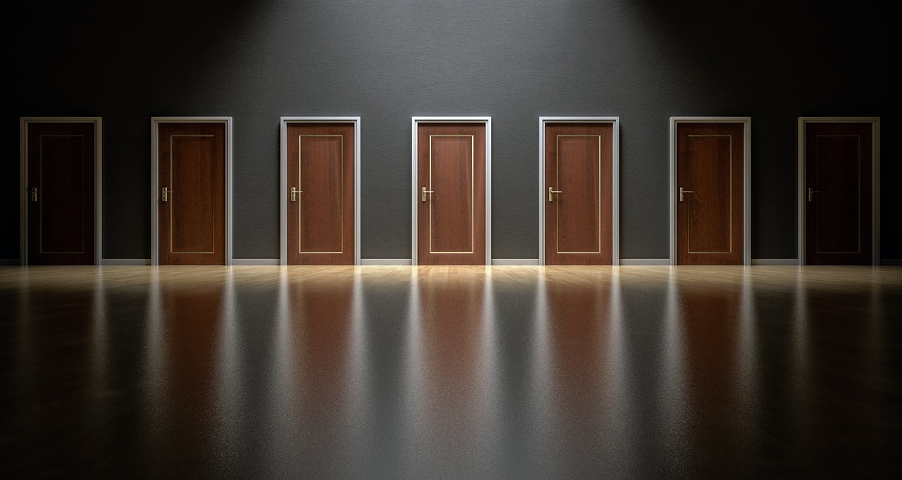 Doors Choices Choose Open Decision  - qimono / Pixabay